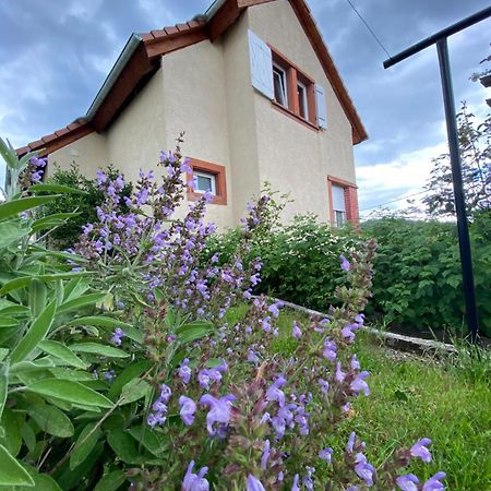 Le Refuge De L'Ours Villa Baerenthal Exterior photo