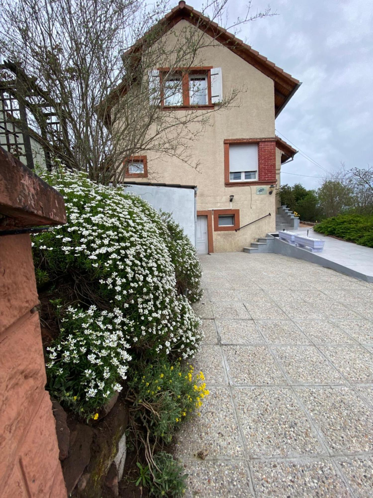 Le Refuge De L'Ours Villa Baerenthal Exterior photo