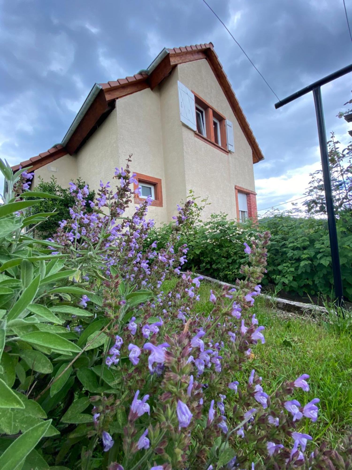 Le Refuge De L'Ours Villa Baerenthal Exterior photo