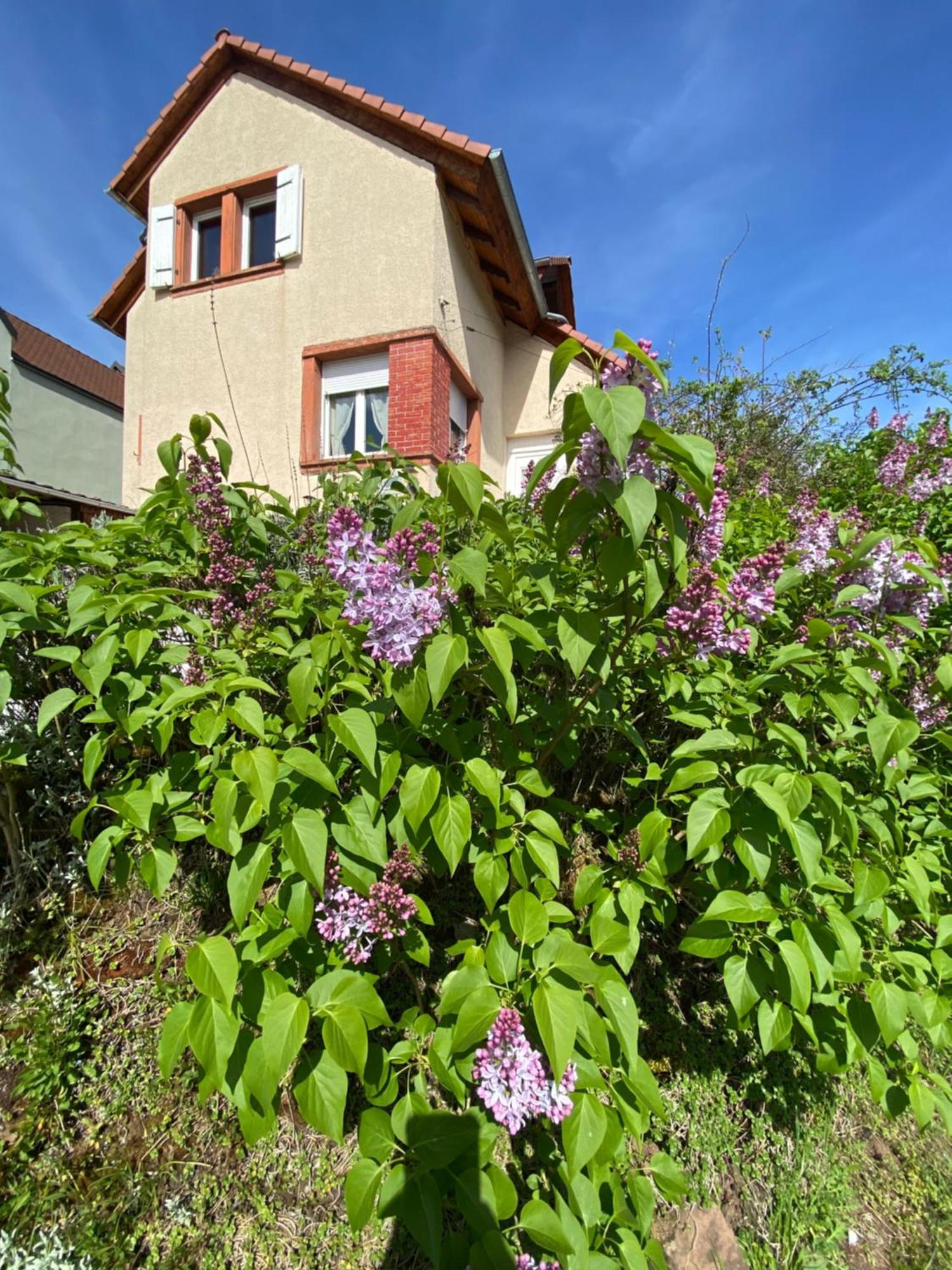 Le Refuge De L'Ours Villa Baerenthal Exterior photo
