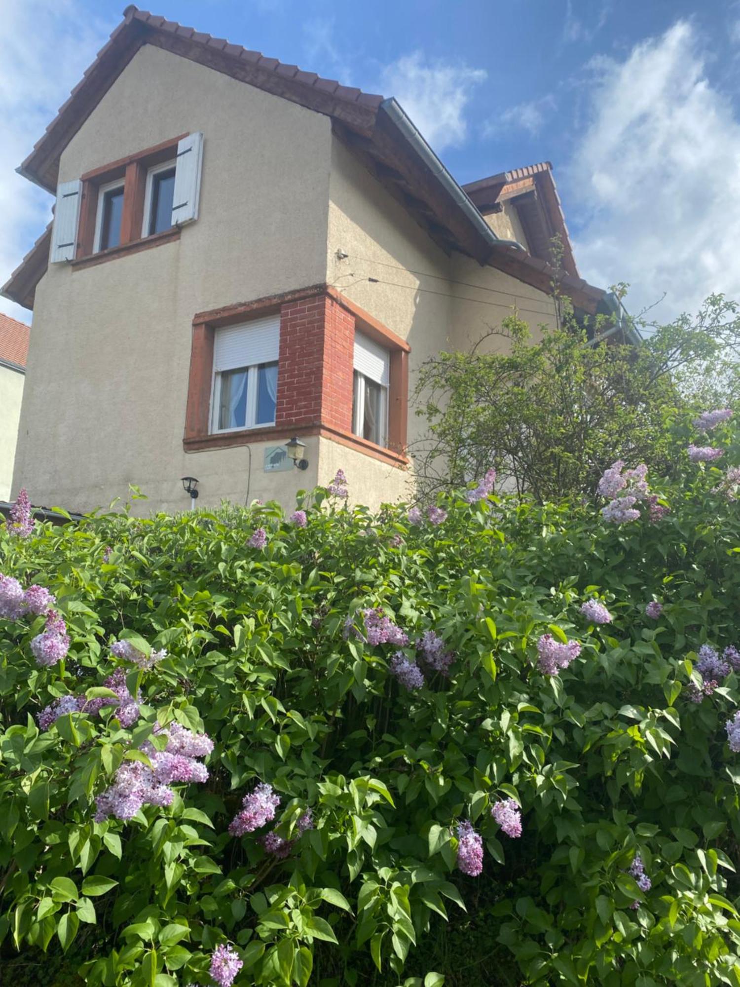 Le Refuge De L'Ours Villa Baerenthal Exterior photo