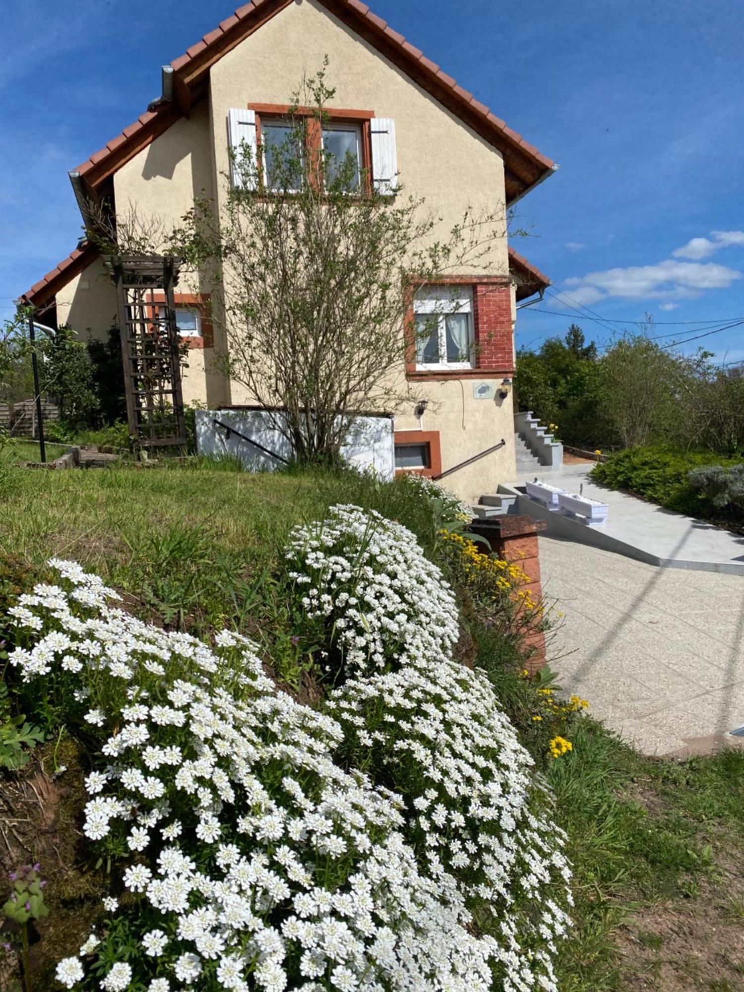Le Refuge De L'Ours Villa Baerenthal Exterior photo
